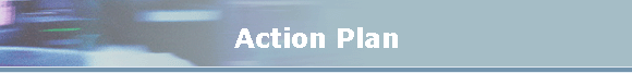 Action Plan