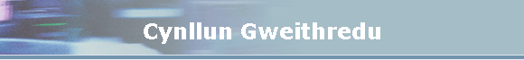 Cynllun Gweithredu